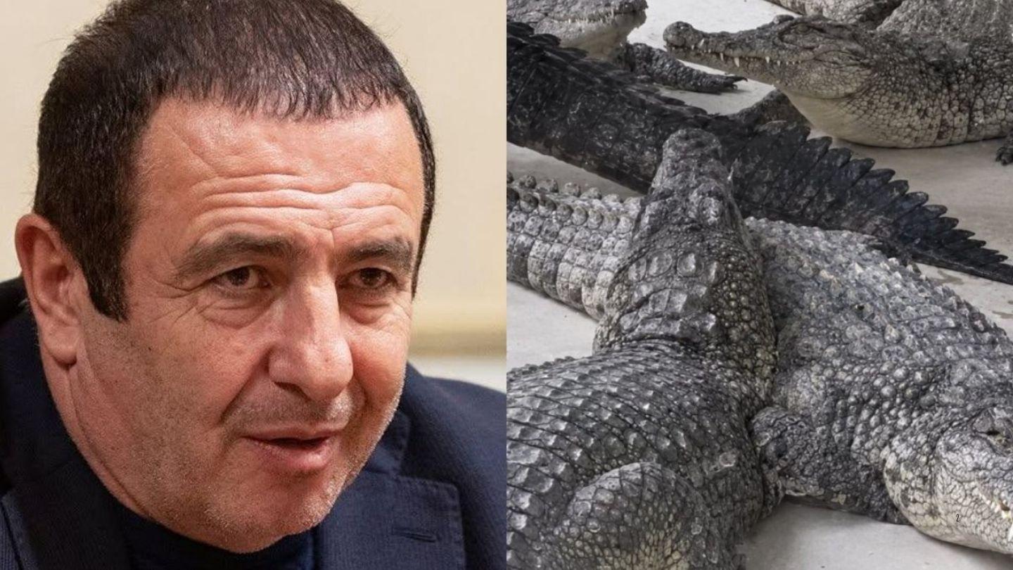 Ծառուկյանի կոկորդիլոսը փորձել է հոշոտել ԱԻՆ աշխատակցին․ «Հրապարակ»