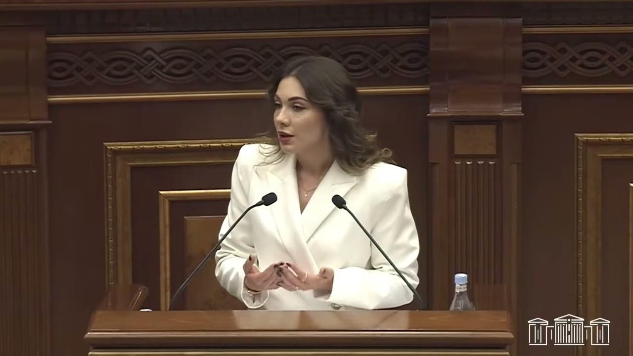 Կներեք էլի, ասենք՝ ԱԳՆ և «կակոյ նիբուդ» առևտուր՝ հնչողություն չկա. Մամիկոն Ասլանյանը՝ Գալյանին